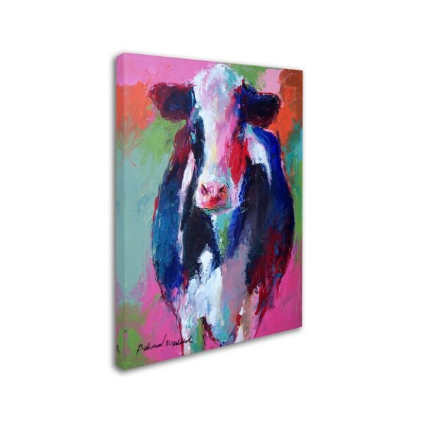 Richard Wallich 'Art Pink Cow' Canvas Art,18x24